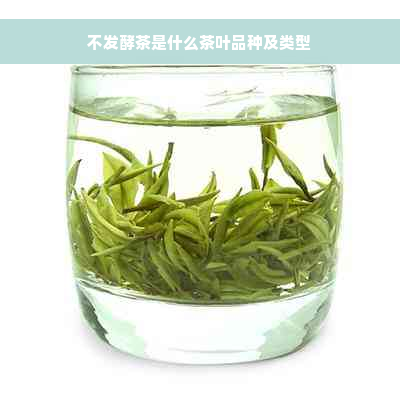 不发酵茶是什么茶叶品种及类型