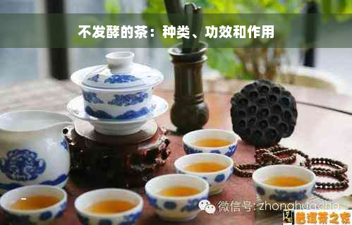 不发酵的茶：种类、功效和作用