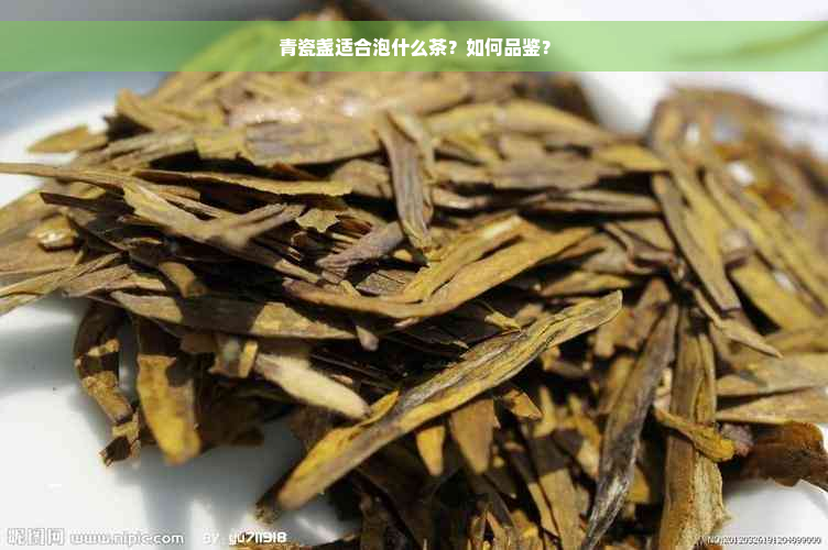 青瓷盏适合泡什么茶？如何品鉴？