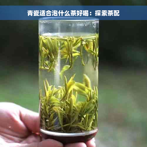 青瓷适合泡什么茶好喝：探索茶配