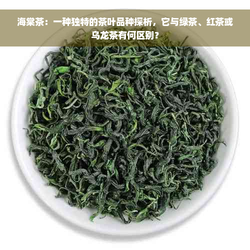 海棠茶：一种独特的茶叶品种探析，它与绿茶、红茶或乌龙茶有何区别？