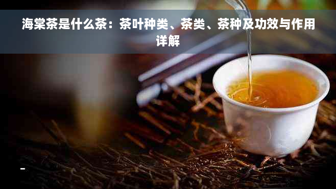 海棠茶是什么茶：茶叶种类、茶类、茶种及功效与作用详解