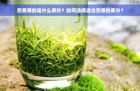 煎茶用的是什么茶叶？如何选择适合煎茶的茶叶？