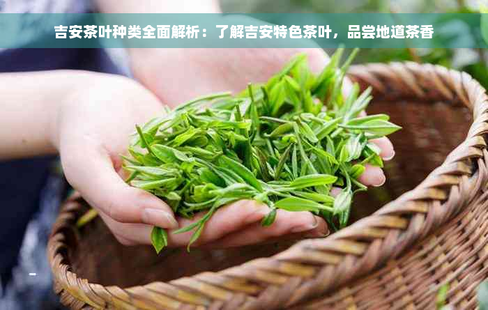 吉安茶叶种类全面解析：了解吉安特色茶叶，品尝地道茶香