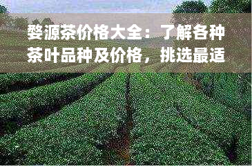 婺源茶价格大全：了解各种茶叶品种及价格，挑选最适合的茶叶