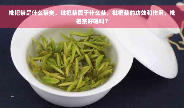 枇杷茶是什么茶类，枇杷茶属于什么茶，枇杷茶的功效和作用，枇杷茶好喝吗？