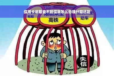 信用卡逾期查不到信息怎么办理分期还款