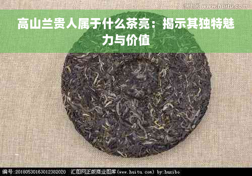 高山兰贵人属于什么茶亮：揭示其独特魅力与价值