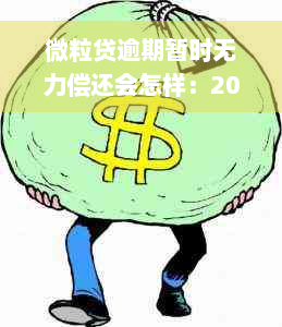 微粒贷逾期暂时无力偿还会怎样：2020新规定与起诉风险解析