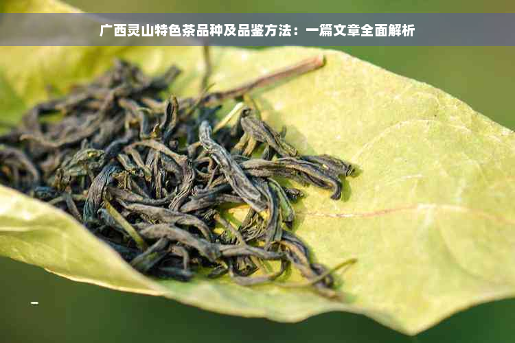 广西灵山特色茶品种及品鉴方法：一篇文章全面解析