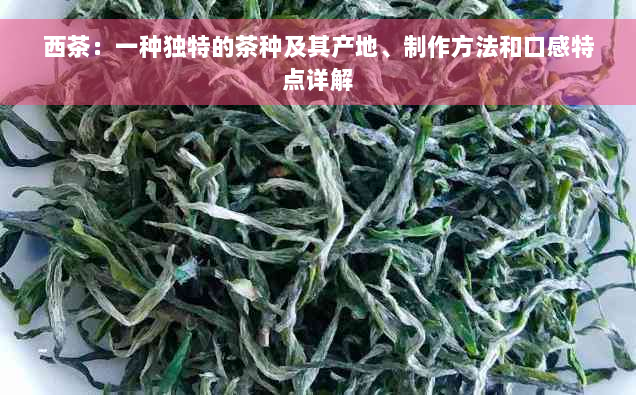 西茶：一种独特的茶种及其产地、制作方法和口感特点详解