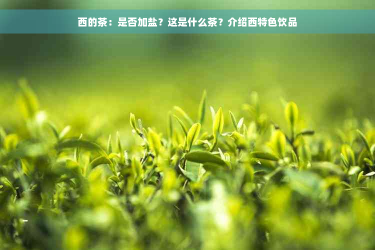 西的茶：是否加盐？这是什么茶？介绍西特色饮品