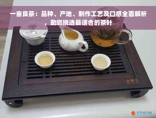 一亩良茶：品种、产地、制作工艺及口感全面解析，助您挑选最适合的茶叶