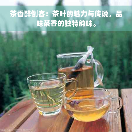 茶香醉倒客：茶叶的魅力与传说，品味茶香的独特韵味。