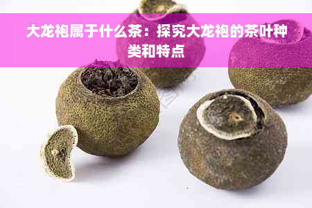 大龙袍属于什么茶：探究大龙袍的茶叶种类和特点