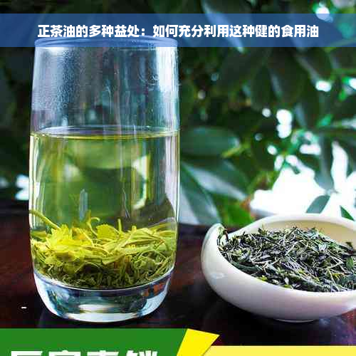 正茶油的多种益处：如何充分利用这种健的食用油