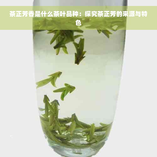 茶正芳香是什么茶叶品种：探究茶正芳的来源与特色