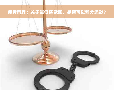 债务管理：关于更低还款额，是否可以部分还款？