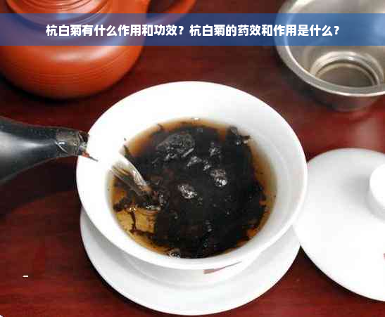 杭白菊有什么作用和功效？杭白菊的药效和作用是什么？