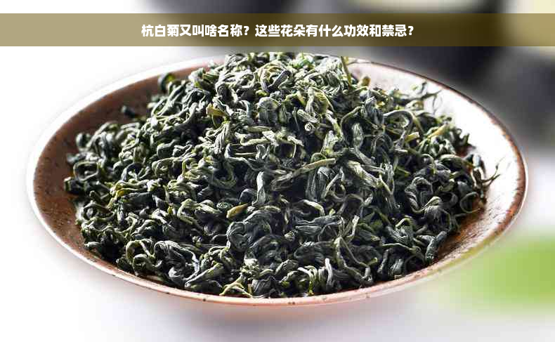 杭白菊又叫啥名称？这些花朵有什么功效和禁忌？