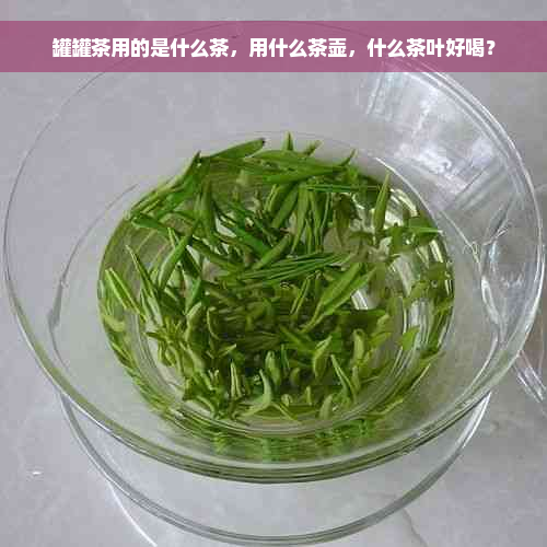 罐罐茶用的是什么茶，用什么茶壶，什么茶叶好喝？