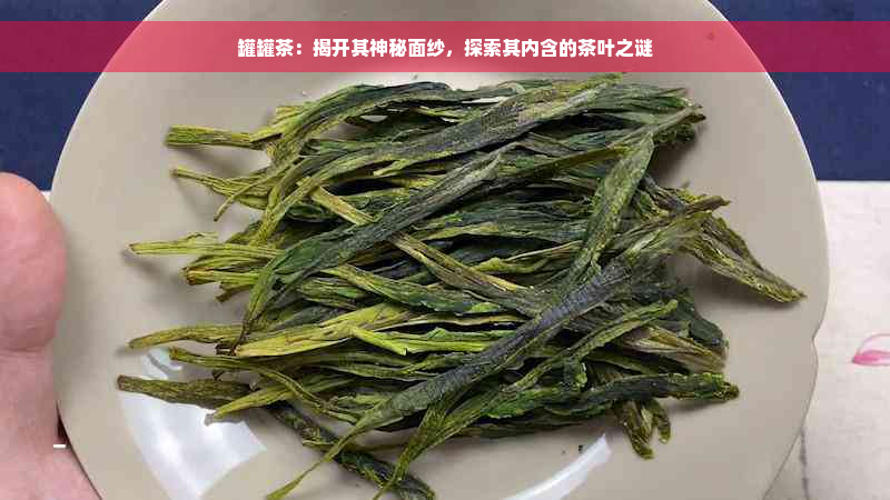 罐罐茶：揭开其神秘面纱，探索其内含的茶叶之谜