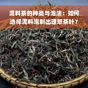 泥料茶的种类与泡法：如何选择泥料泡制出理想茶叶？