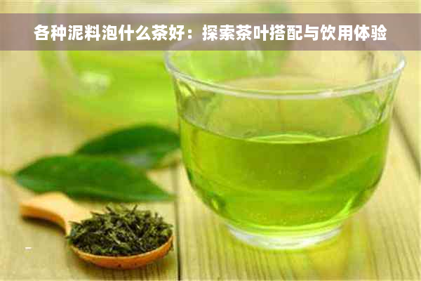 各种泥料泡什么茶好：探索茶叶搭配与饮用体验