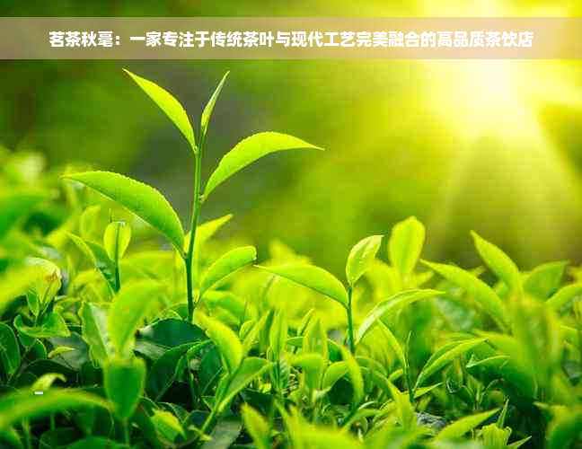 茗茶秋毫：一家专注于传统茶叶与现代工艺完美融合的高品质茶饮店