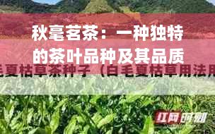 秋毫茗茶：一种独特的茶叶品种及其品质特征解析