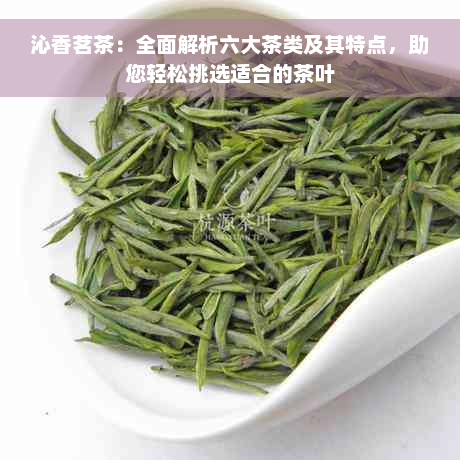 沁香茗茶：全面解析六大茶类及其特点，助您轻松挑选适合的茶叶