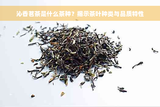 沁香茗茶是什么茶种？揭示茶叶种类与品质特性