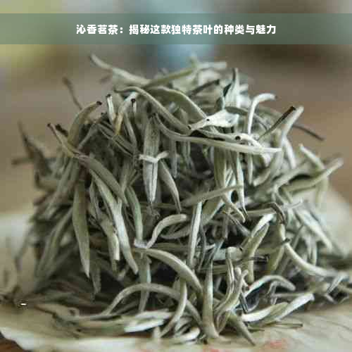 沁香茗茶：揭秘这款独特茶叶的种类与魅力