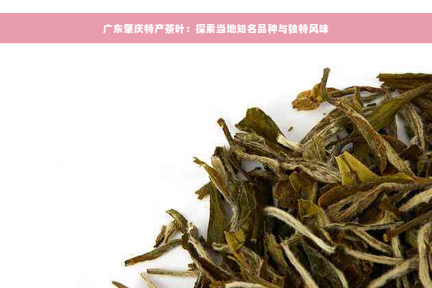 广东肇庆特产茶叶：探索当地知名品种与独特风味