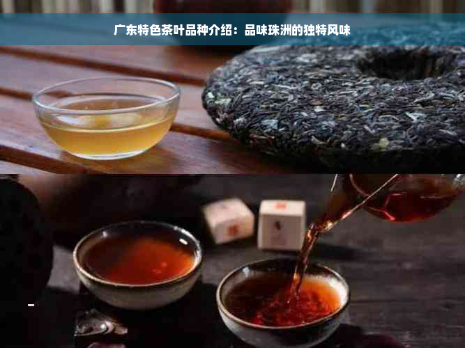 广东特色茶叶品种介绍：品味珠洲的独特风味