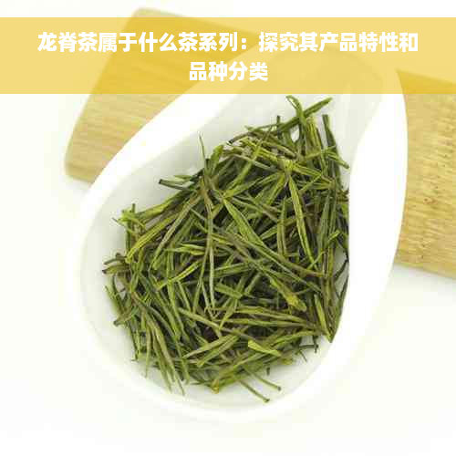 龙脊茶属于什么茶系列：探究其产品特性和品种分类