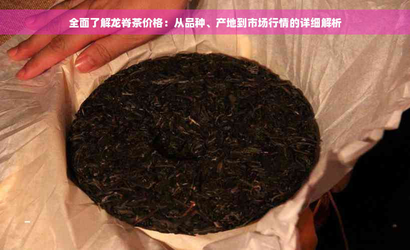 全面了解龙脊茶价格：从品种、产地到市场行情的详细解析