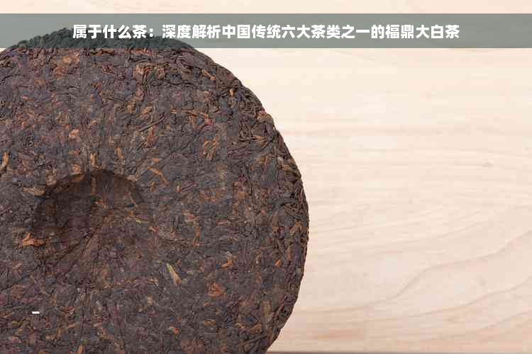 属于什么茶：深度解析中国传统六大茶类之一的福鼎大白茶