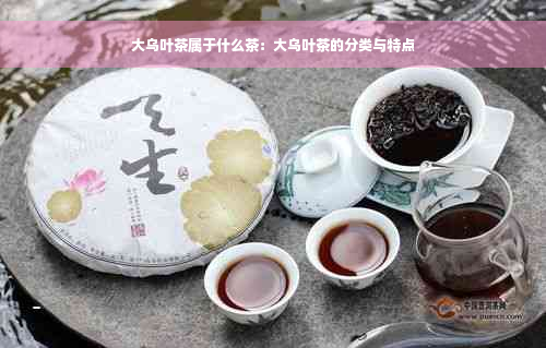 大乌叶茶属于什么茶：大乌叶茶的分类与特点