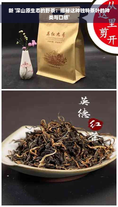 新 '深山原生态的野茶：揭秘这种独特茶叶的种类与口感'