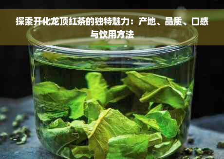 探索开化龙顶红茶的独特魅力：产地、品质、口感与饮用方法