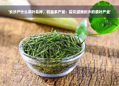 '长沙产什么茶叶品种，和最多产量：探究湖南长沙的茶叶产业'