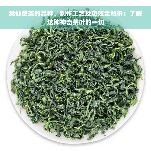 莱仙草茶的品种、制作工艺及功效全解析：了解这种神奇茶叶的一切