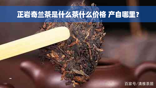 正岩奇兰茶是什么茶什么价格 产自哪里？