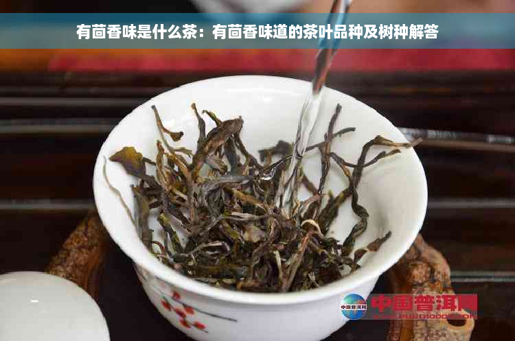 有茴香味是什么茶：有茴香味道的茶叶品种及树种解答