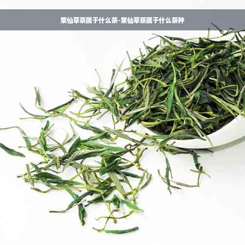 莱仙草茶属于什么茶-莱仙草茶属于什么茶种