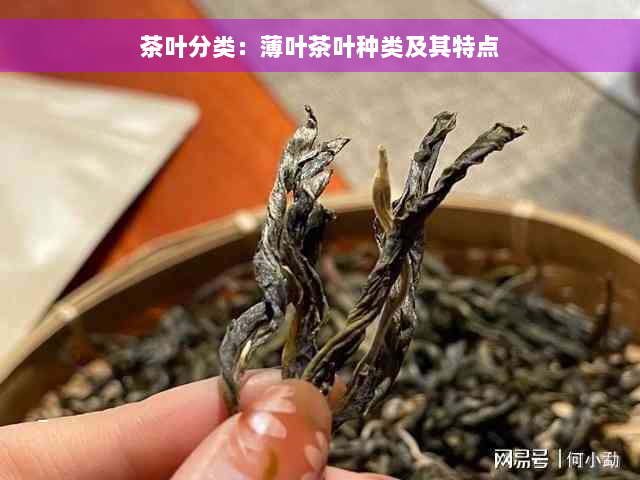 茶叶分类：薄叶茶叶种类及其特点