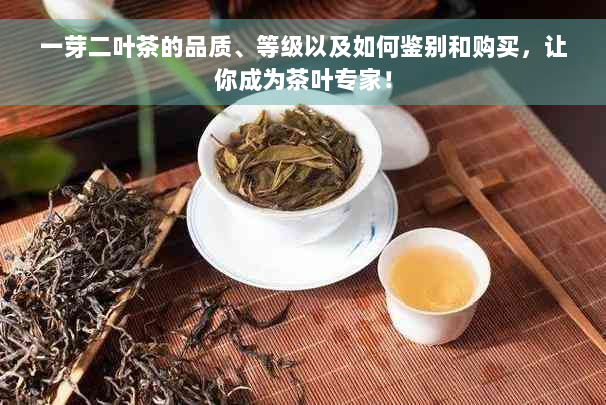 一芽二叶茶的品质、等级以及如何鉴别和购买，让你成为茶叶专家！