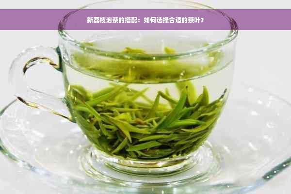 新荔枝泡茶的搭配：如何选择合适的茶叶？