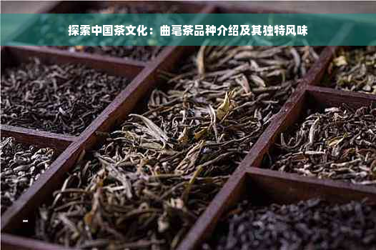 探索中国茶文化：曲毫茶品种介绍及其独特风味